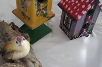 Avian Haven Folk Art Birdhouse Display